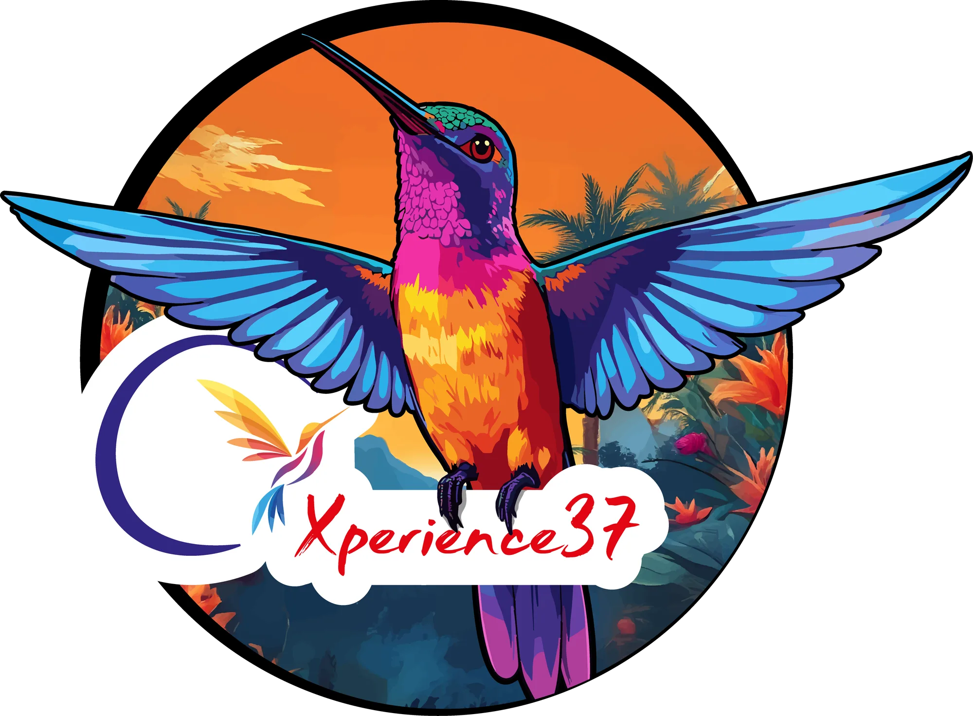 Xperience 37 - Diseño para Gorras